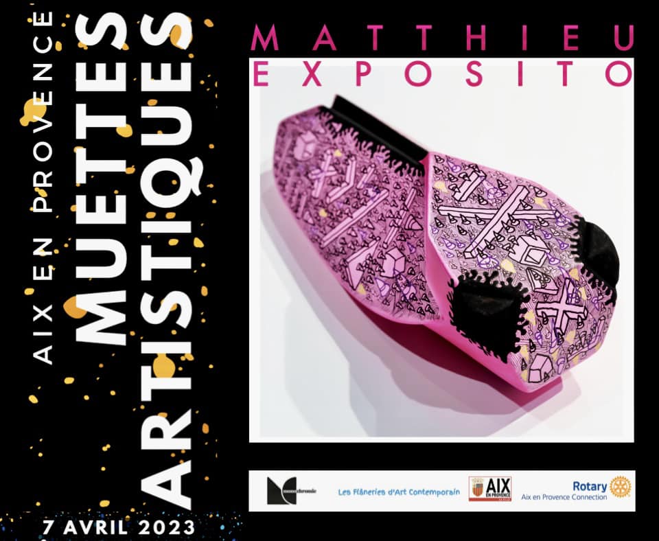 la-nuit-de-la-lecture-matthieu-exposito-lycee-majorelle-toul